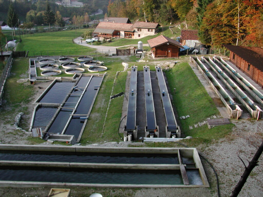 Panoramica azienda Valenti