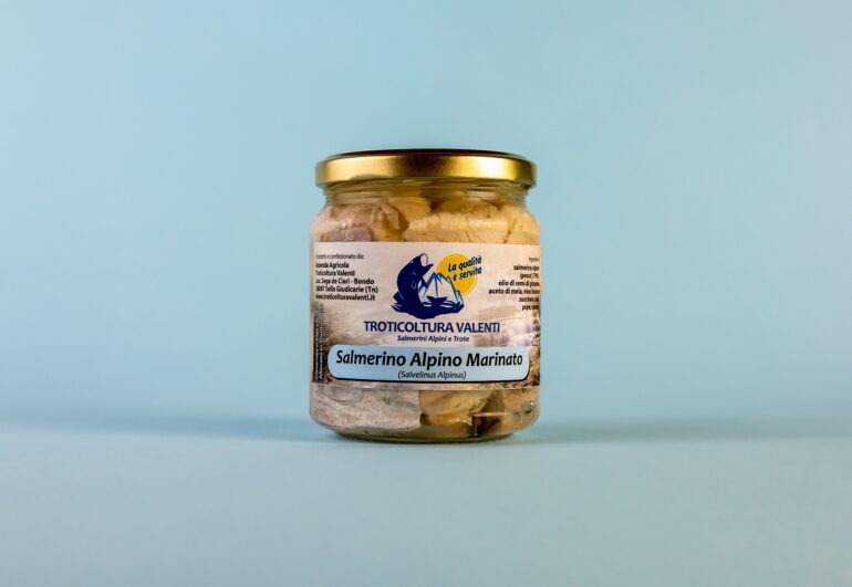Salmerino alpino marinato